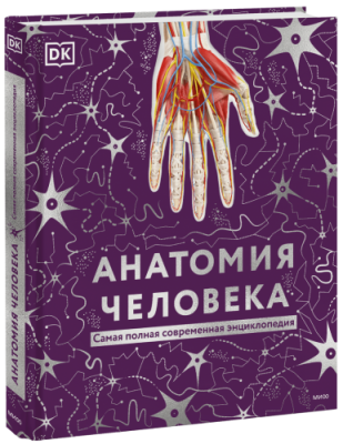 Анатомия человека / Детство | Книги | V4.Ru: Маркетплейс