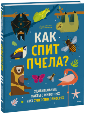 Как спит пчела? / Детство | Книги | V4.Ru: Маркетплейс