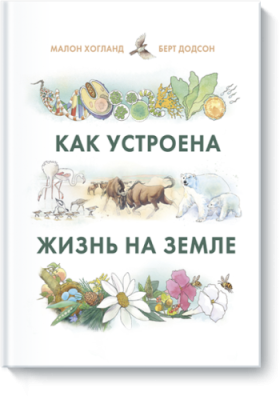 Как устроена жизнь на Земле / Детство | Книги | V4.Ru: Маркетплейс