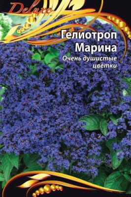 Гелиотроп Марина цв/п 0,03г / Гелиотроп | Дача, сад и огород | V4.Ru: Маркетплейс