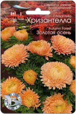 Астра Хризантелла Золотая осень 30 шт / Астра | Дача, сад и огород | V4.Ru: Маркетплейс