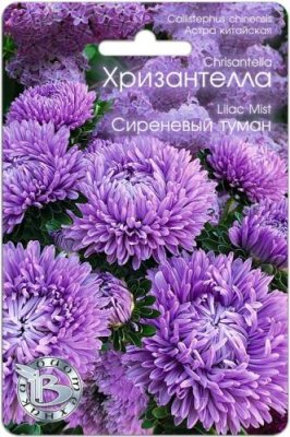 Астра Хризантелла Сиреневый туман 30 шт / Астра | Дача, сад и огород | V4.Ru: Маркетплейс