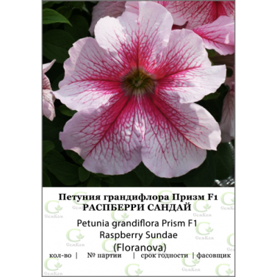 Петуния грандифлора Призм Расберри Сандай 100др (Fioranova) / Семена фасовки ХХХL | Дача, сад и огород | V4.Ru: Маркетплейс