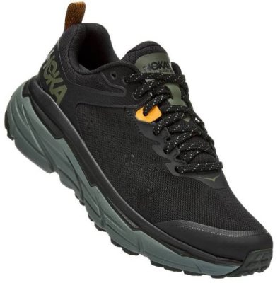 Кроссовки мужские Hoka M CHALLENGER ATR 6 (Black/Thyme USA 8.5 || UK 8 || RUS 40.5 || 1106510-BTYM-85) Беговые кроссовки / Одежда, обувь и аксессуары | V4.Market