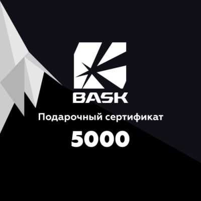 Подарочный сертификат BASK / Подарочные Сертификаты | Одежда, обувь и аксессуары | V4.Ru: Маркетплейс