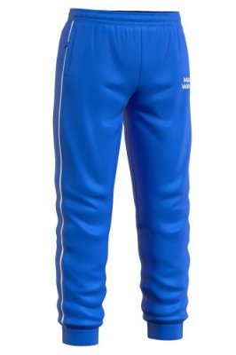 Спортивные брюки Track pants Брюки / Спорт и отдых | V4.Market