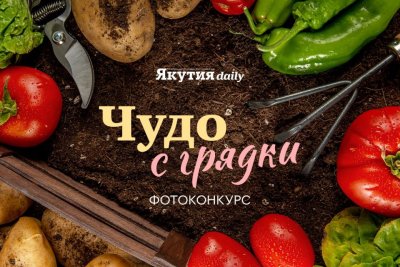 Стартовало голосование фотоконкурса «Чудо с грядки» / ЯСИА   