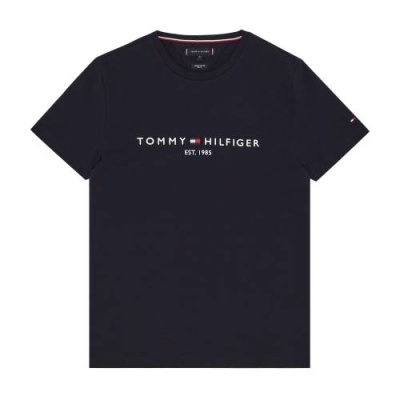 CORE TOMMY LOGO TEE / Футболки | Одежда, обувь и аксессуары | V4.Ru: Маркетплейс