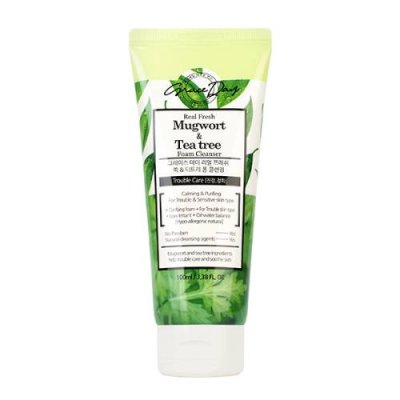 Grace Day Real Fresh Mugwort & Tea Tree Foam Cleanser / Лицо | Товары для красоты | V4.Ru: Маркетплейс