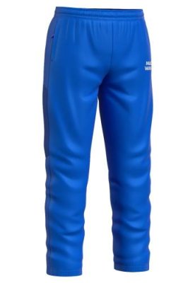 Спортивные брюки Flex pants / Брюки | Спорт и отдых | V4.Ru: Маркетплейс