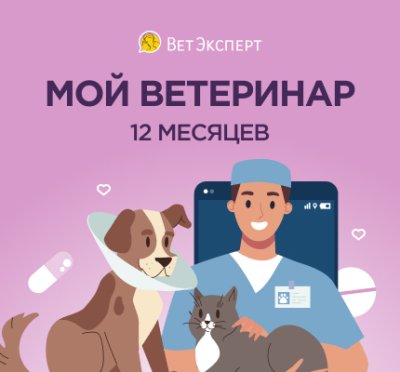 Сертификат ВетЭксперт на 12 месяцев / ТелеМедицина | Электроника | V4.Ru: Маркетплейс