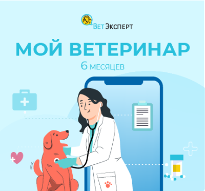 Сертификат ВетЭксперт на 6 месяцев / ТелеМедицина | Электроника | V4.Ru: Маркетплейс