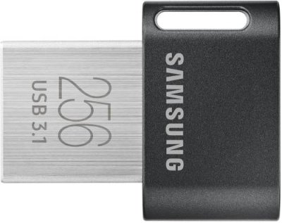 Флеш-накопитель Samsung USB 3.1 256 ГБ / Флэш-накопители  | Электроника | V4.Ru: Маркетплейс