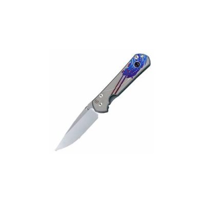 Нож складной Chris Reeve Large Sebenza 21 Ametyst Cabochon L21UN E Amethyst SS14, сталь CPM-S35VN, рукоять титан / Раскладные | Товары для дома | V4.Ru: Маркетплейс