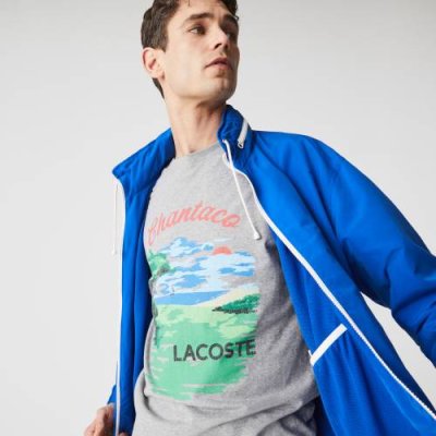 Мужская футболка Lacoste с круглым вырезом / Футболки | Одежда, обувь и аксессуары | V4.Ru: Маркетплейс