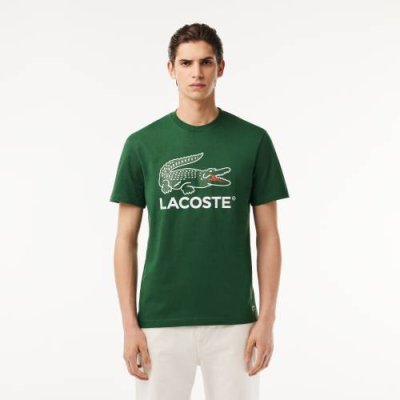 Мужская хлопковая футболка Lacoste / Футболки | Одежда, обувь и аксессуары | V4.Ru: Маркетплейс