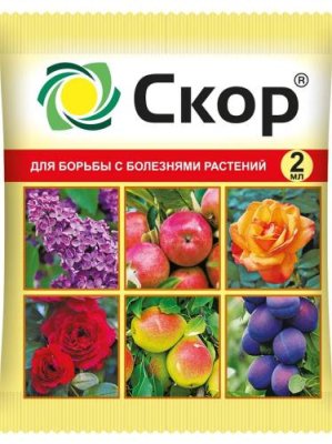 Скор амп. 2 мл / Защита растений от болезней | Дача, сад и огород | V4.Ru: Маркетплейс