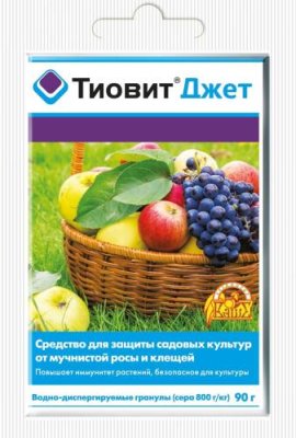 Тиовит Джет 90 г / Защита растений от болезней | Дача, сад и огород | V4.Ru: Маркетплейс