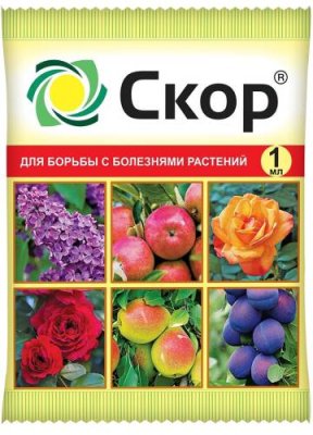 Скор амп. 1 мл / Защита растений от болезней | Дача, сад и огород | V4.Ru: Маркетплейс