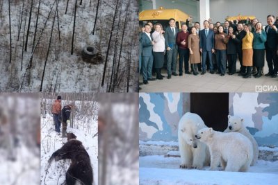 Обзор интересных и популярных новостей в Якутии за 7 ноября / ЯСИА   