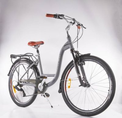 Женский велосипед Alpine Bike Costa 26" 2022 (Рама: M (Рост: 165-180 см), Цвет: серый) / Женские | Спорт и отдых | V4.Ru: Маркетплейс