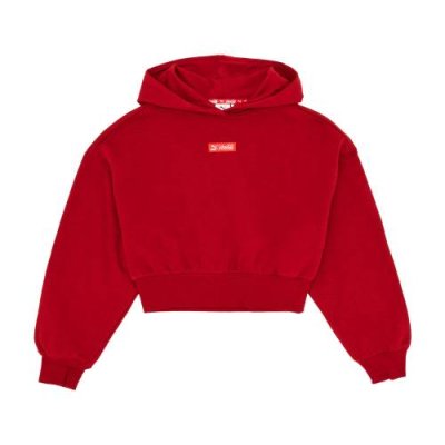 PUMA X COCA COLA Cropped Hoodie TR / Толстовки | Одежда, обувь и аксессуары | V4.Ru: Маркетплейс