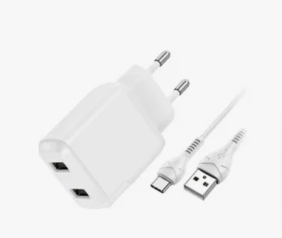 Сетевое зарядное устройство Hoco (N7) Speedy 2xUSB 10W + кабель Micro-USB 100 см (белый) / Сетевые зарядные устройства | Электроника | V4.Ru: Маркетплейс