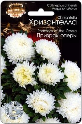 Астра Хризантелла Призрак оперы 30 шт / Астра | Дача, сад и огород | V4.Ru: Маркетплейс