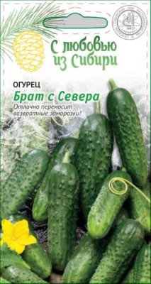 Огурец Брат с Севера (Сибирская серия) 0,25 гр цв.п. / Огурец семена | Дача, сад и огород | V4.Ru: Маркетплейс