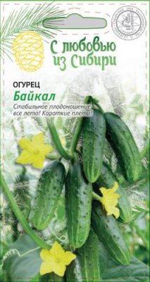 Огурец Байкал 0,25 гр цв.п. (Сибирская серия) / Огурец семена | Дача, сад и огород | V4.Ru: Маркетплейс