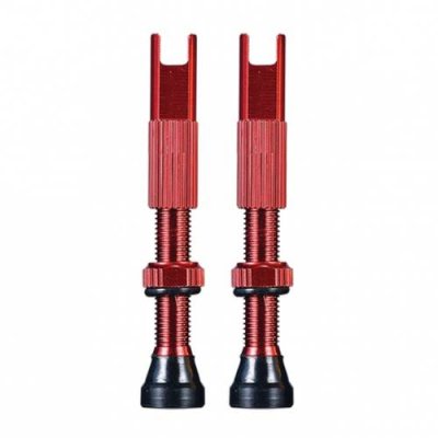 Ниппель Chepark Tubeless Valve, бескамерный, presta, анодированный, пара, 40 мм, красный, TIL-60red40 / Наборы для бескамерных покрышек | Спорт и отдых | V4.Ru: Маркетплейс