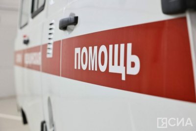 Девочку и женщину госпитализировали с отравлением угарным газом в Жиганском районе / ЯСИА   