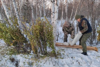 В Олекминском районе Якутии установили солонец и выложили веники для подкормки диких животных / ЯСИА   