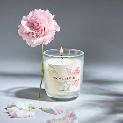 Свеча ароматическая Peony Blush / Ароматические свечи | Товары для дома | V4.Ru: Маркетплейс