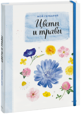 Мой гербарий. Цветы и травы / Детство | Книги | V4.Ru: Маркетплейс