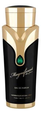 Magnificent Pour Femme: парфюмерная вода 100мл уценка / Восточная / Арабская | Товары для красоты | V4.Ru: Маркетплейс