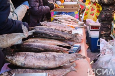 Ярмарка местной продукции откроется в Якутске на Комсомольской площади / ЯСИА   