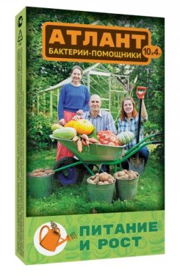 Атлант Бактерии -Помощники, повышает плодородие почвы 10*4 г. Защита растений от болезней / Дача, сад и огород | V4.Market