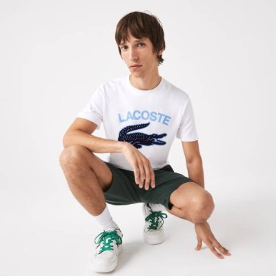 Мужская футболка Lacoste Regular Fit с принтом / Футболки | Одежда, обувь и аксессуары | V4.Ru: Маркетплейс